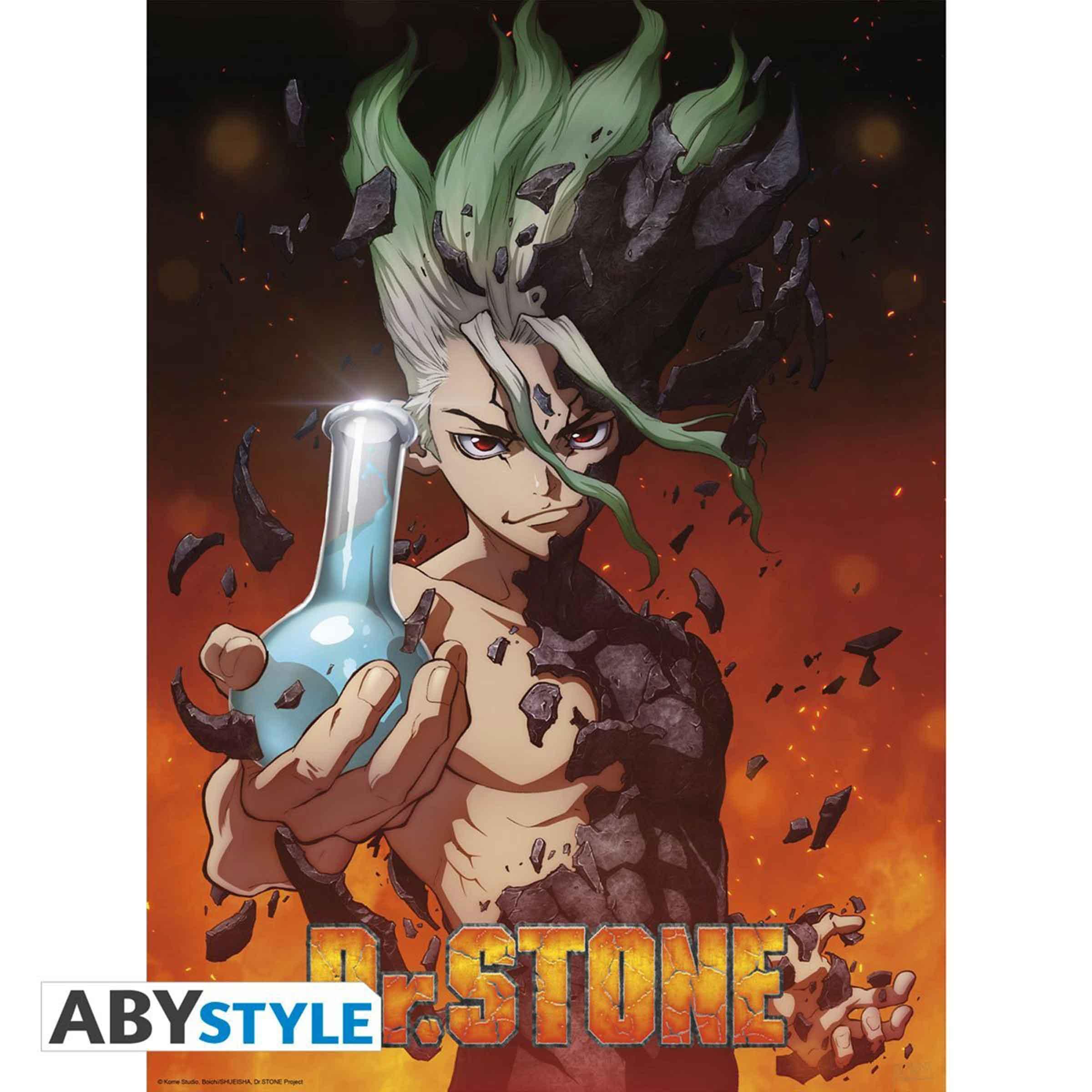 Dr Stone Group Character Boxed Poster 2 Piece Set - BUCKET POPCORN