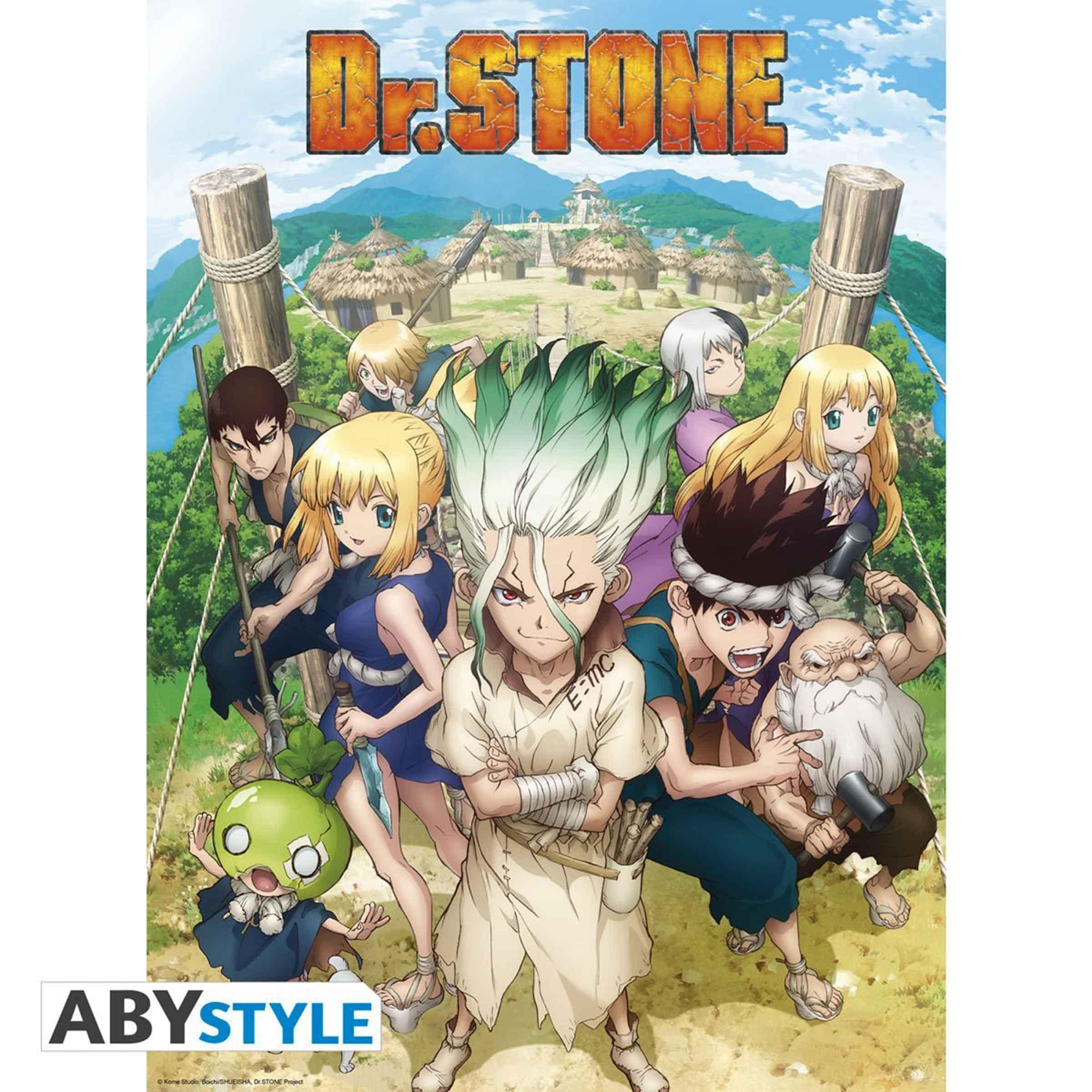Dr Stone Group Character Boxed Poster 2 Piece Set - BUCKET POPCORN