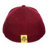 Harry Potter Gryffindor Flex Fit Baseball Cap - BUCKET POPCORN