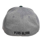 My Hero Academia UA School Symbol Flex Fit Hat - BUCKET POPCORN