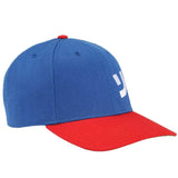 Sonic Japanese Katakana Pre-Curved Bill Snapback Hat - BUCKET POPCORN