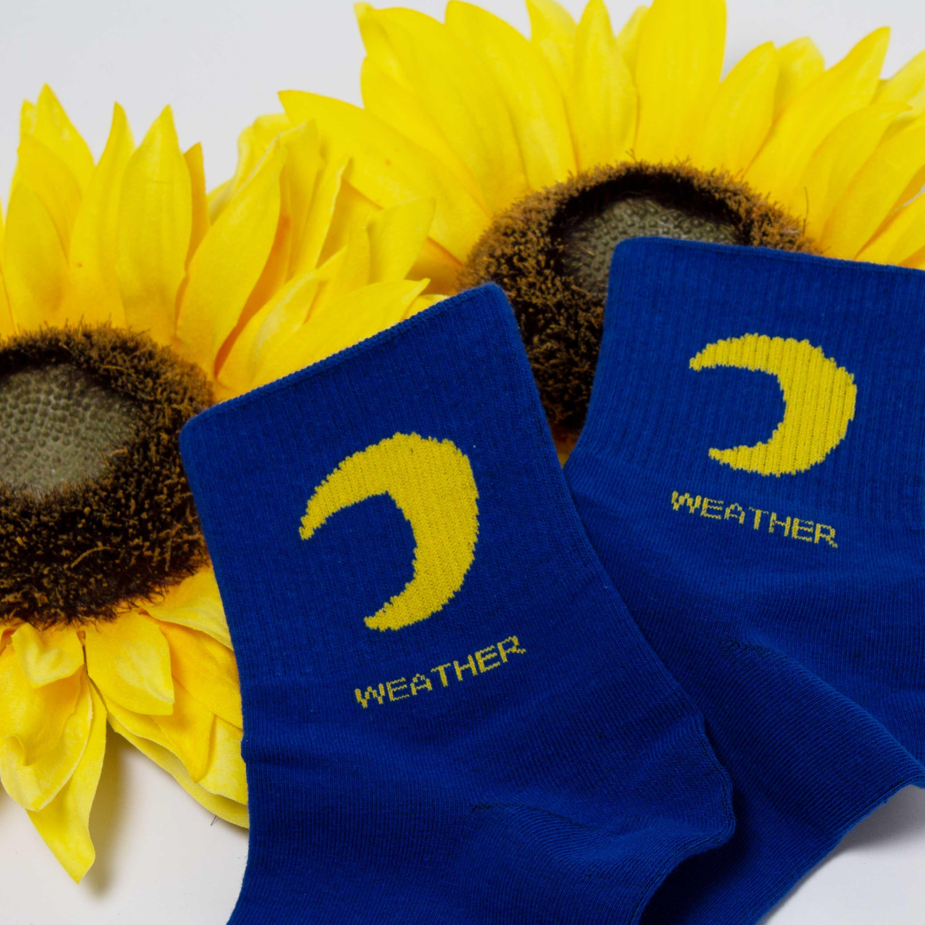 Womens Cute Weather Icon Crew Socks - BUCKET POPCORN