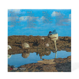 Another Crab’s Treasure Vinyl Soundtrack