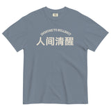 Immune to Bullshit-Chinese Character Unisex Short Sleeve Graphic T-shirt-Fun Meme Tee-blue jean-front view