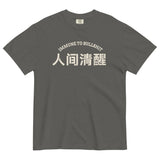 Immune to Bullshit-Chinese Character Unisex Short Sleeve Graphic T-shirt-Fun Meme Tee-pepper gray-front view