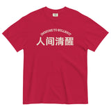 Immune to Bullshit-Chinese Character Unisex Short Sleeve Graphic T-shirt-Fun Meme Tee-red-front view