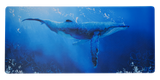 Blue Whale Desk Mat