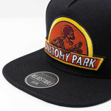 Rick and Morty Anatomy Park Snapback Hat - BUCKET POPCORN 